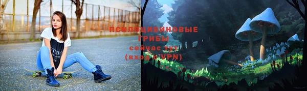 сатива Белоозёрский