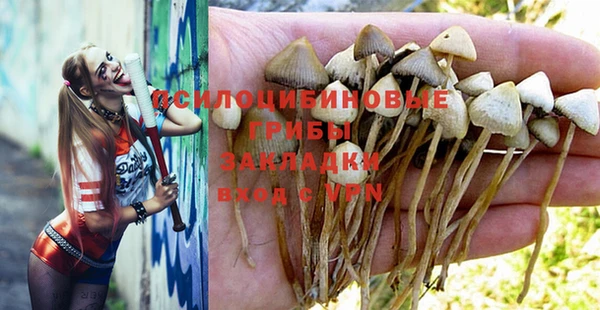 apvp Балабаново